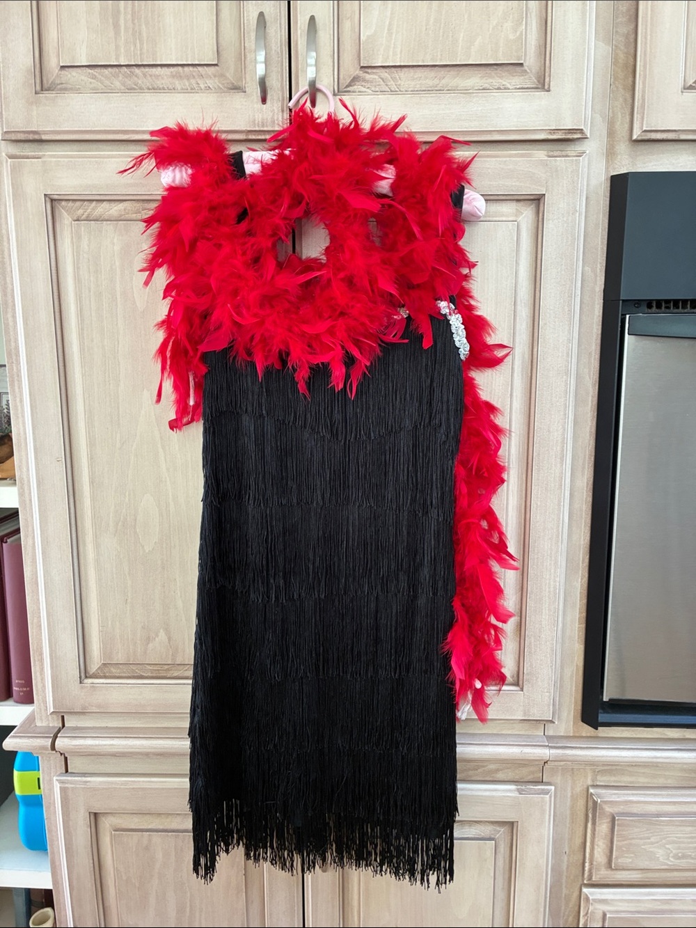 Spirit Halloween Flapper Fringe Dress with Red Feather Boa